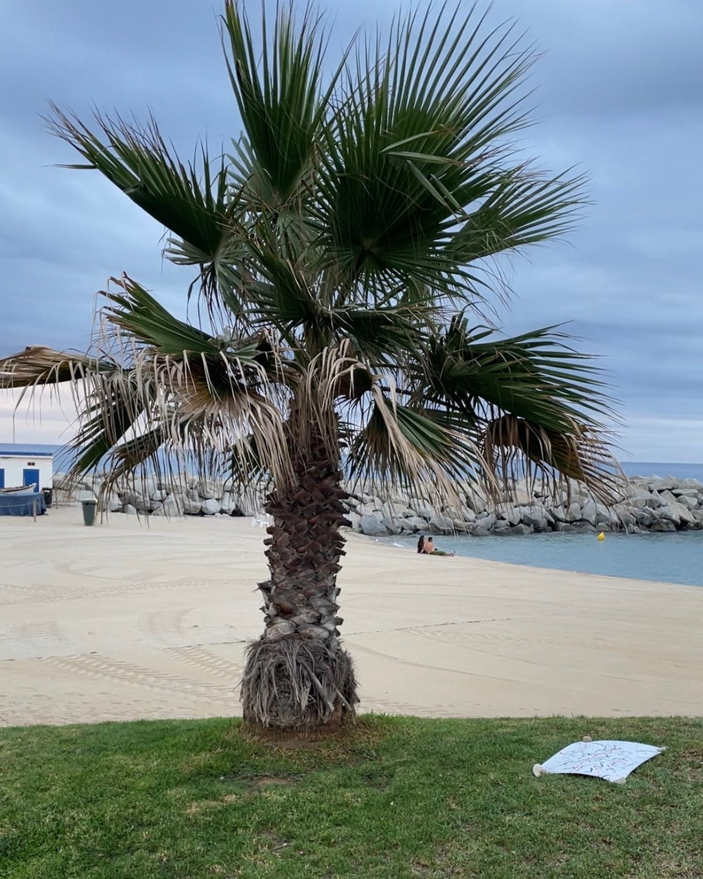 EP.26 — Vilassar de mar, Spain